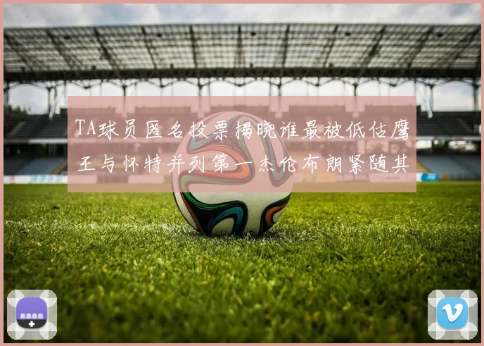 TA球员匿名投票揭晓谁最被低估鹰王与怀特并列第一杰伦布朗紧随其后