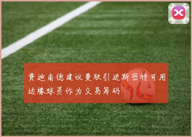 费迪南德建议曼联引进斯密特可用边缘球员作为交易筹码