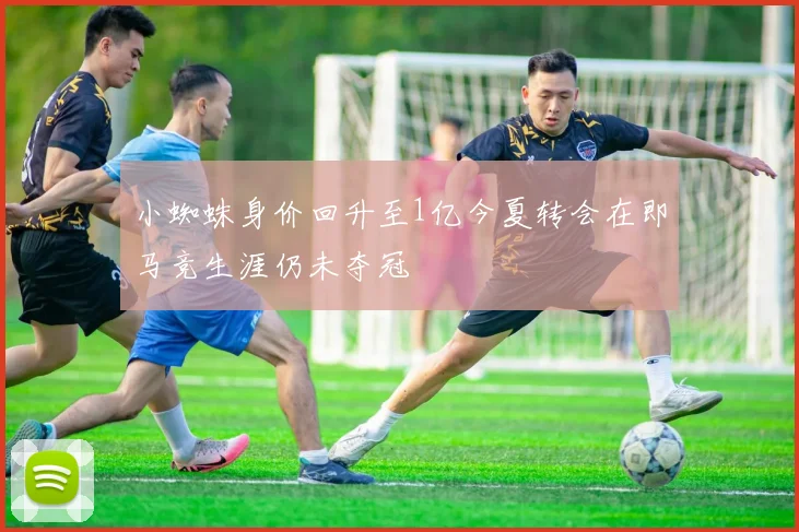 小蜘蛛身价回升至1亿今夏转会在即马竞生涯仍未夺冠
